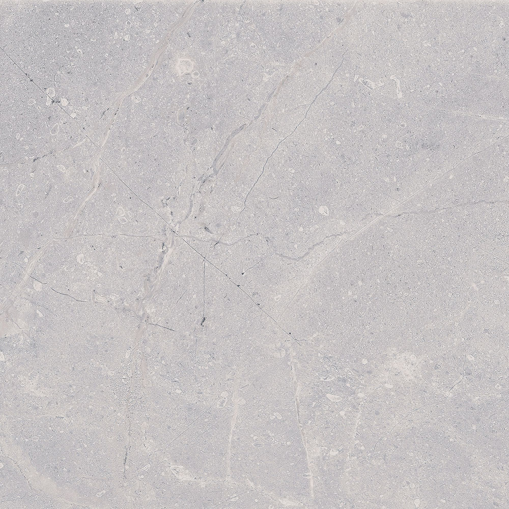 Rino Arcadia 60x60 Gri Mat Seramik