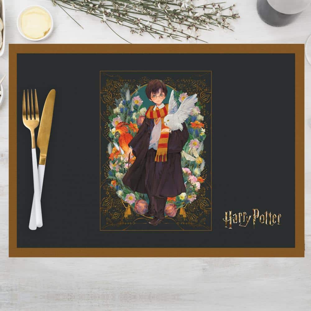 HP Characters Kumaş Amerikan Servis 4'lü Set 35X50CM